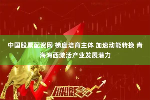 中国股票配资网 梯度培育主体 加速动能转换 青海海西激活产业发展潜力