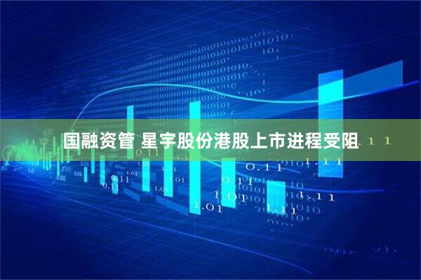 国融资管 星宇股份港股上市进程受阻
