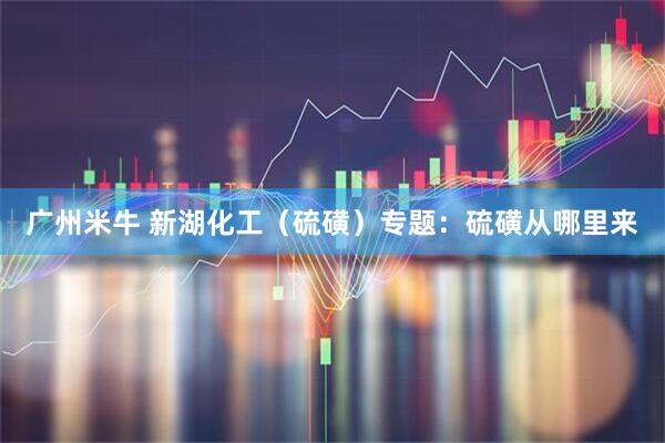 广州米牛 新湖化工(硫磺)专题:硫磺从哪里来