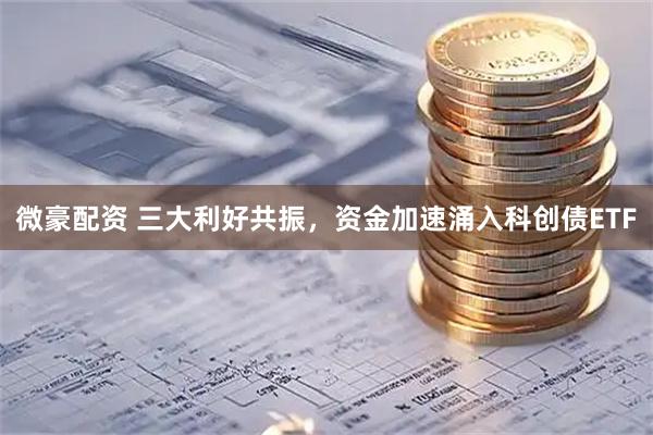 微豪配资 三大利好共振，资金加速涌入科创债ETF